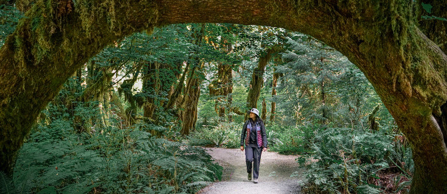 Searching for Silence in the Hoh Rainforest
